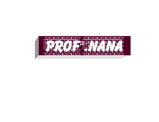 Professora  NANA
